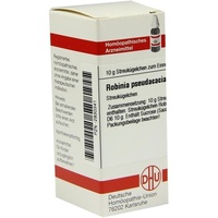 DHU-Arzneimittel ROBINIA Pseudacacia D 6 Globuli