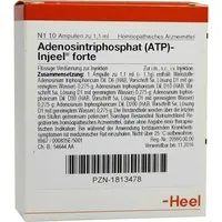 Heel ATP INJ FORTE HOM ALL 10 st
