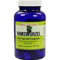 Hecht Pharma Yamswurzel 500mg GPH 120 st