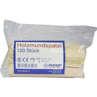 PARAM MUNDSPATEL Holz Btl. 100 St