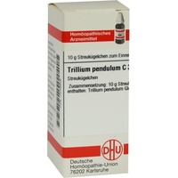 DHU-Arzneimittel TRILLIUM PENDUL C30