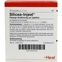 Heel SILICEA INJ 10 st