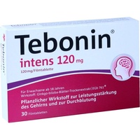 Dr.Willmar Schwabe GmbH & Co.KG Tebonin intens 120 mg