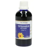 Hecht Pharma Topinambur GPH Tropfen 100 ml