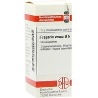 DHU-Arzneimittel Fragaria VESCA D 6 Globuli