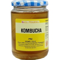 Hecht Pharma Kombucha Teepilz