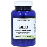 Hecht Pharma Salbei 120 mg GPH Kapseln 120 st
