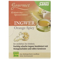 SALUS Orange Ingwer Kräutertee 15x2 g