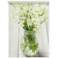 Lichtblick Rollo Klemmfix ohne Bohren, blickdicht, Maiglöckchen - Weiß