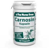 HIRUNDO PRODUCTS Carnosin 500mg