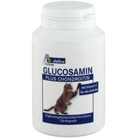 Avitale Glucosamin+Chondroitin für Katzen 120 St.