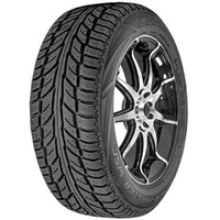 Cooper Weather-Master WSC 205/55 R16 91T