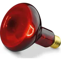 Beurer Infrared R95 100W E27