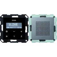 Gira Unterputz-Radio RDS mit Lautsprecher System 55 Schwarzglasoptik Anthrazit