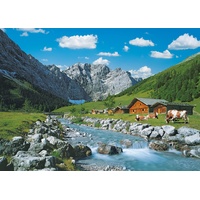 Ravensburger Karwendelgebirge Österreich (19216)