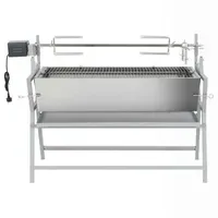 VidaXL BBQ Spanferkelgrill mit Drehspieß