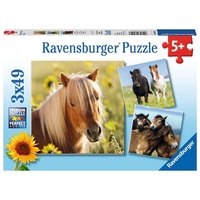 Ravensburger 080113 - Liebe Pferde 3x49 Teile, Kinderpuzzle