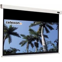Celexon Motor Professional 220x124 16:9